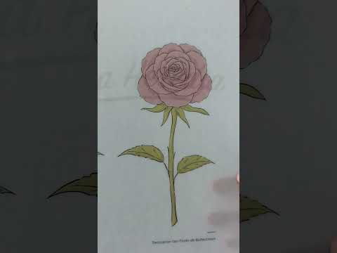 Técnica de espátula para flores realistas ✨ #reposteria