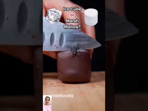 In This Ice Cube 🧊 or Marsh Mallow 🍡 #shorts