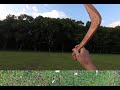 David Bromberg * Young Wesley