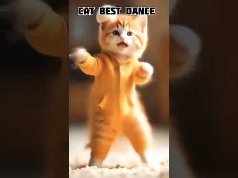 cat best dance #shorts #trending #viralvideo