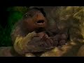 Dinosaurio Trailer 2 En Español Latino