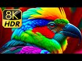 Most Beautiful Birds In The World In 8K HDR 60fps For 8K 4K TVs