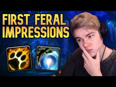 First Time Playing Shadowlands Feral Druid On The PTR...