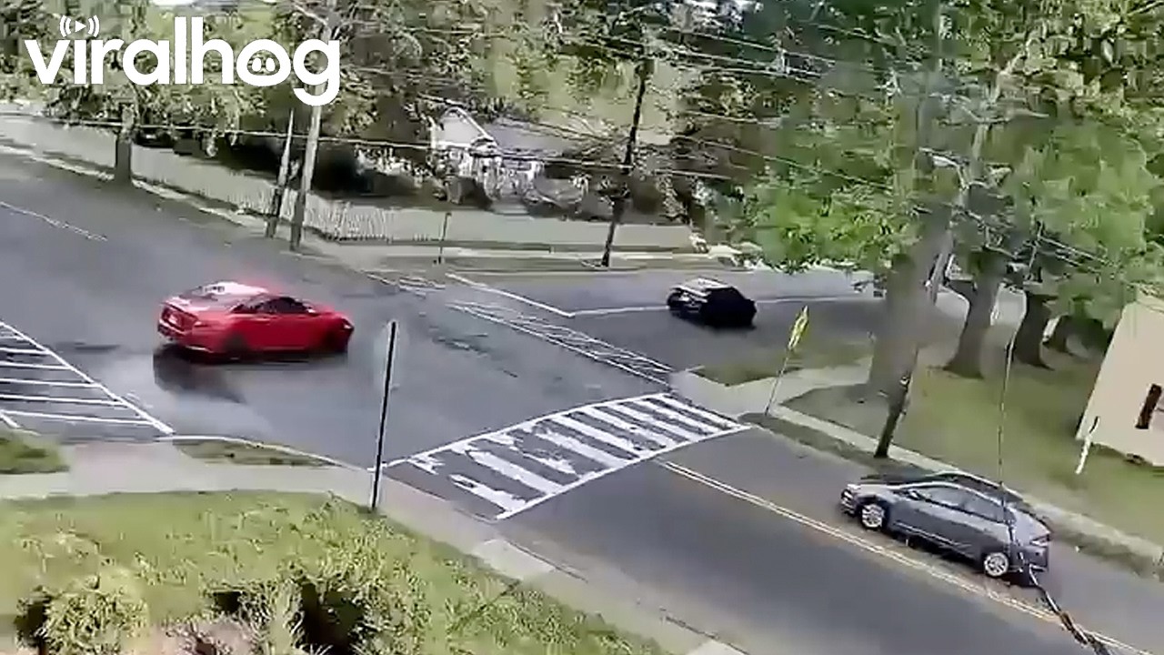 Endless Confusion At Intersection || ViralHog