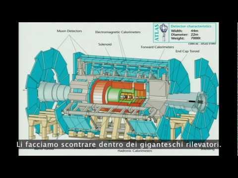 TEDItalia - Cosa succede al Large Hadron Collider? Brian Cox