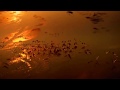 Ottmar Liebert ~ ''La Luna''