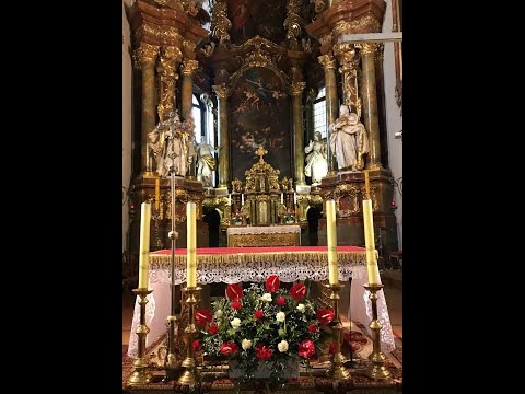 Msza Święta 22.01.2023 - godz. 11.00