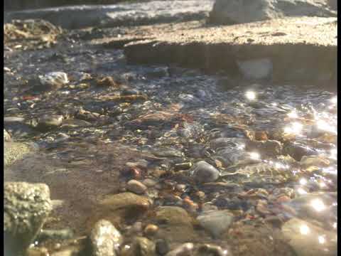 Jaytor & Empop - Midas Touch (Nikko Culture Remix)