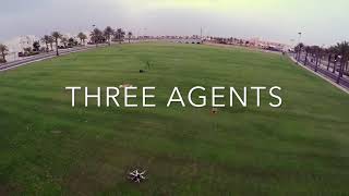 Multi-drone search and pick