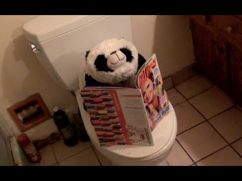 Vlogust 10, 2011 - Where's Pandee!?!?!