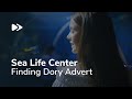 Sea Life Centre Disney S Finding Dory Advert Promotional Video