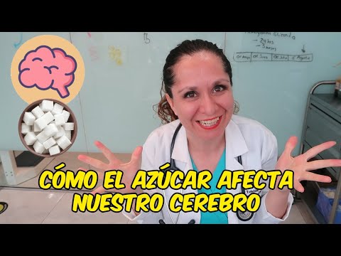 📢🧠🧠HOW DOES SUGAR AFFECT OUR BRAIN? 📢🧠🧠/ ▶ Dr. Melissa Tejeida