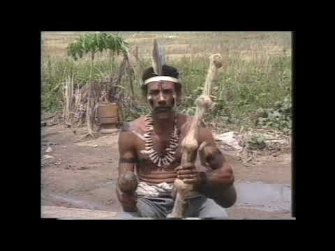 Conheça os Tingui-Botó: Tradição e Resistência em Feira Grande Alagoas