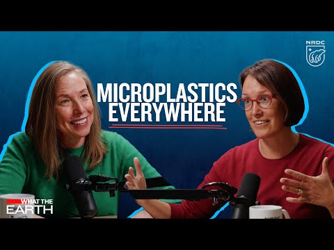 The Hidden Cost of Plastic | What the Earth, Episode 8