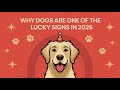 Why Dogs Are One of the Lucky Signs in 2026