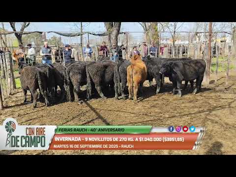 Resumen del Remate 40° Aniversario de Ferias Rauch - 16/09/2025 - Rauch