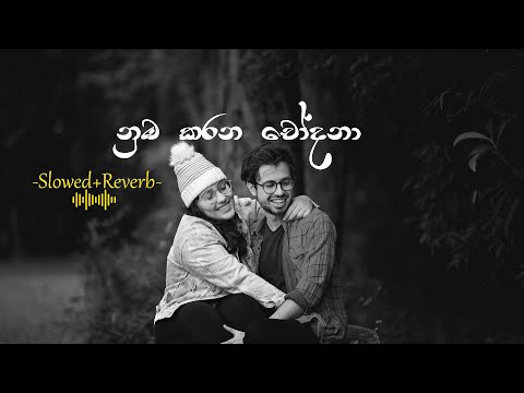 Nuba Karana Chodana(නුඹ කරන චෝදනා) Slowed+Reverb