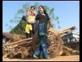 Hay Baba Shadi Karai De