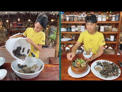 Chef Ny Cook Toads, Frogs, Bullfrogs for 2 country style recipes - Unique Cooking