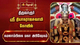 Temple video