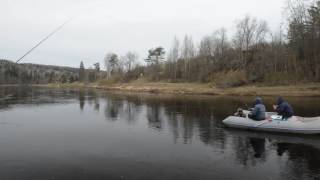 Ловля сырти на реке оять в ленинградской области