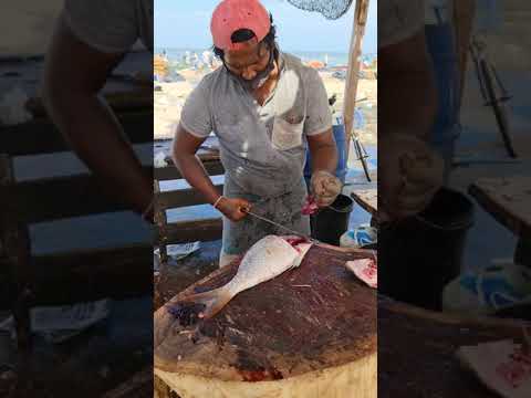 Colourful Spangled Emperor Fish Cutting |  VelaiMeen | Mr. Sampath