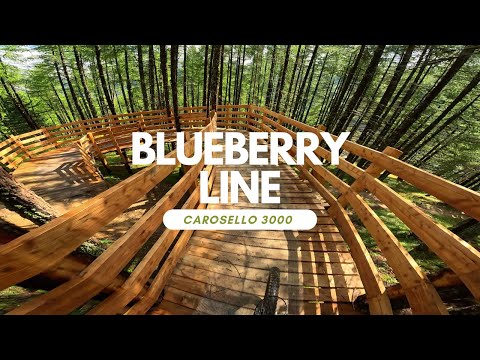 Blue Berry Line Bikepark Carosello 3000 Livigno Italy 🇮🇹 full run POV RAW