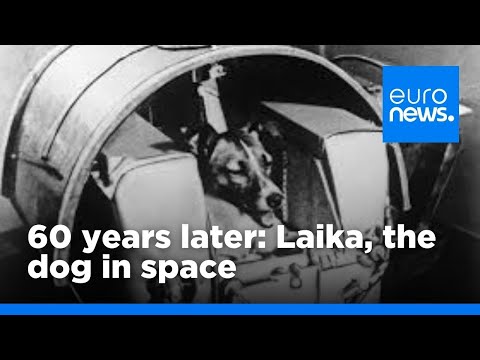 60 years on - Laika the dog in space