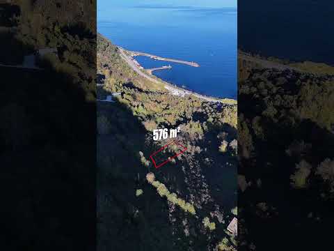 YouTube Shorts Önizleme