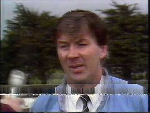 1988 Leinster Hurling Championship Wexford v Laois