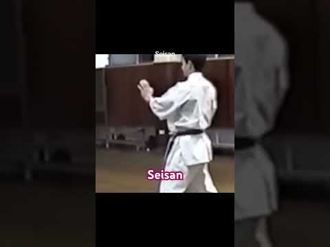 Seisan kata of the Goju Ryu style. #gojuryu #karate #seisan #katakatamotivasi