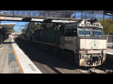 Meadowbank- NR 85 (SS lively) and NR 100- Run 7SB1