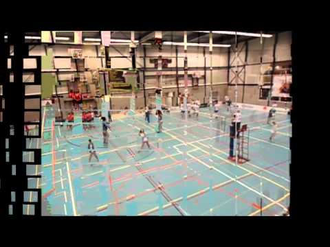 SHAKE-IT! treedt op bij Taurus Houten