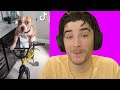 Crispy Reacts To Memes For Crispy 5