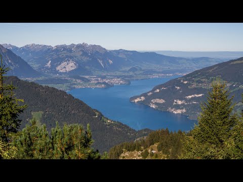 Widerswil to Schynige Platte in Swiss Alps by train.