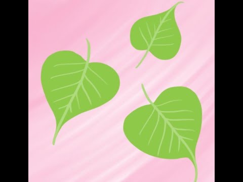 Present Moment? -  Discourse on a Single Excellent Night