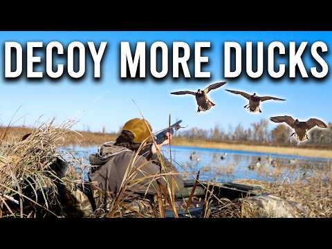 4 TRICKS to DECOY MORE DUCKS