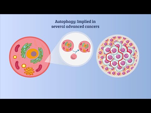 Novel role of Autophagy in the Competitive Removal of Cancer Cells