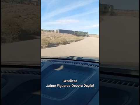 TREN PATAGONICO CHOCA CONTRA AUTOMOVIL QUE QUEDO  DETENIDO EN UN PASO A NIVEL EN COMALLO RIO NEGRO