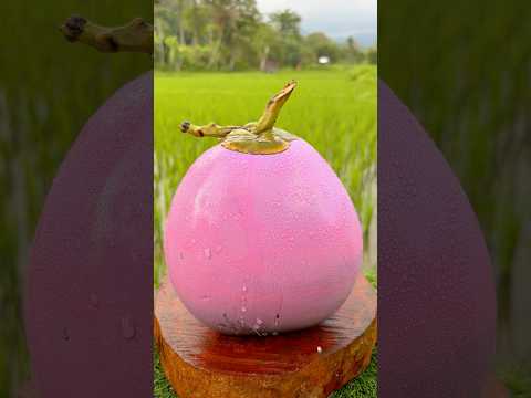 Fresh Pink Coconut Cutting 🩷