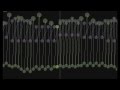 (revised) matt9five/Circus-P - iNSaNiTY - Music ...