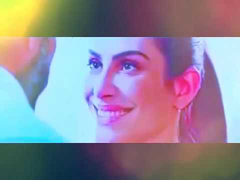 Qualquer Gato Vira Lata 2   assistir filme completo dublado