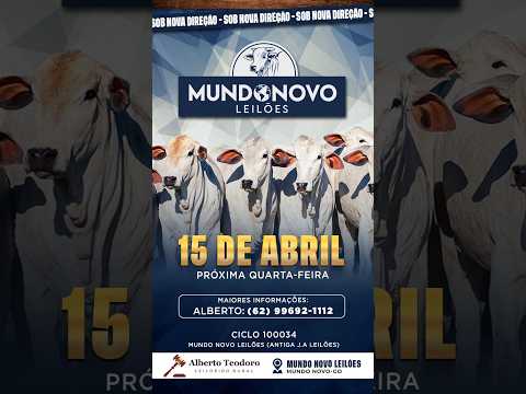 2 ° LEILÃO DO  MUNDO NOVO LEILÕES 15/04/2026