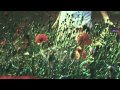 Guano Apes - OFFLine (Vitalizer Mix 2014) 