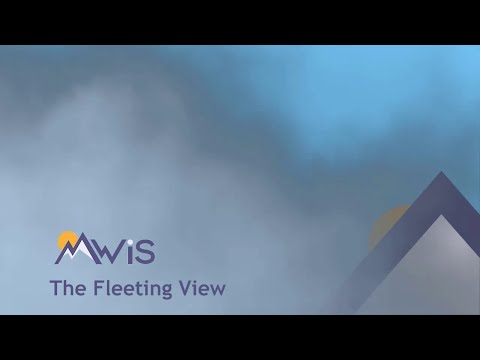 Fleeting View for Friday and Weekend (17/11/22)