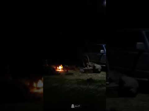 ارقبت ولاشفت