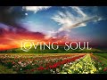 LOVING SOUL,  Michael Allen Harrison Solo Piano