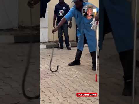 Nigerian Singer Mysteriously Bitten By A Snake In Her House: The Sad Case Of Ifunanya Nwagene