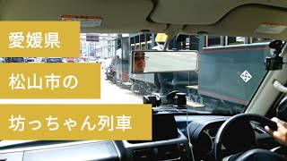チョットだけ坊っちゃん列車と並走しました‼️