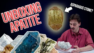 Green Apatite One 10x8mm And Two 9x7mm Rectangular Cushion Step Cut Set 8.28ctw Related Video Thumbnail